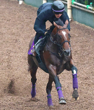【富士Ｓまとめ・調教後談話】アドマイヤズームはＧ２連勝へ納得の仕上がり　重賞４勝目のかかるトロヴァトーレ陣営などのジャッジは…