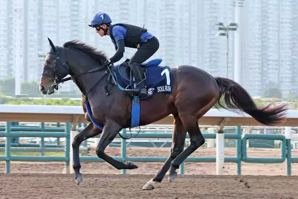 香港マイル２着で引退のソウルラッシュはブリーダーズＳＳで種牡馬入り　池江調教師「一度は頭ぐらい出ていたが…」