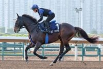 香港マイル２着で引退のソウルラッシュはブリーダーズＳＳで種牡馬入り　池江調教師「一度は頭ぐらい出ていたが…」