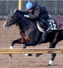 【シンザン記念】上位混戦だが、馬連でも３連単でも売れ線の意外な１番人気とは？　前売り最終オッズ発表