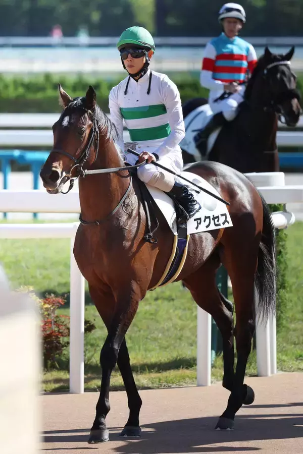 【京成杯】「クラシックに乗っていける馬ですよ」上村調教師も自信！大舞台へノンストップでアクセスだ！！　