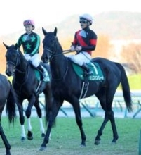 【小倉牝馬Ｓ】トップハンデは２４年紫苑Ｓ覇者クリスマスパレード５６キロ　エフフォーリア全妹ジョスランは５４キロ