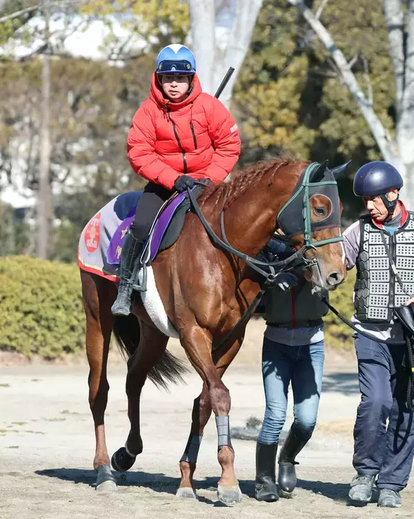 【東京新聞杯】Ｇ１馬復権へ　シャンパンカラーが絶好のデキ　田中剛調教師「すごく良いです」