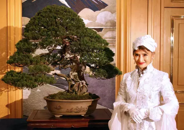 志穂美悦子さん　今年のテーマは「月面に立つ！」　国風盆栽展第１００回記念式典で国歌独唱の大役「ただただ光栄」