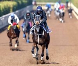 【フェブラリーＳ】「完璧」世界の坂井瑠星がほれ直した　ダブルハートボンド史上初の牝馬Ｖへ抜群の動き