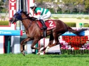 大幅な馬体減→出遅れ→かかり気味で快勝した伏兵に衝撃「買えんて」「こんなに…」　桜花賞トライアル制したギリーズボール