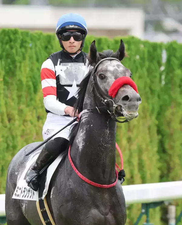 【注目馬動向】前走でオープン入りのミニトランザットはダービー卿ＣＴに参戦　鞍上は引き続き、西村淳也騎手