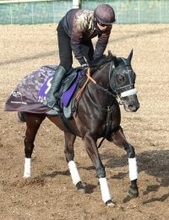 【高松宮記念】ナムラクレアが悲願のＧ１勝利へ絶好の状態　陣営「いい感じで最後を迎えられる」