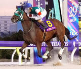 「あす浦和競馬１１Ｒ「報知杯しらさぎ賞」力が違うホーリーグレイル」の画像1