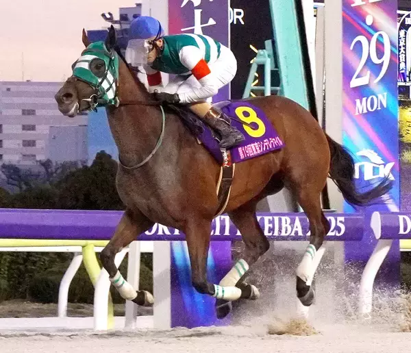 あす浦和競馬１１Ｒ「報知杯しらさぎ賞」力が違うホーリーグレイル