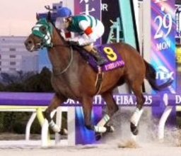 あす浦和競馬１１Ｒ「報知杯しらさぎ賞」力が違うホーリーグレイル