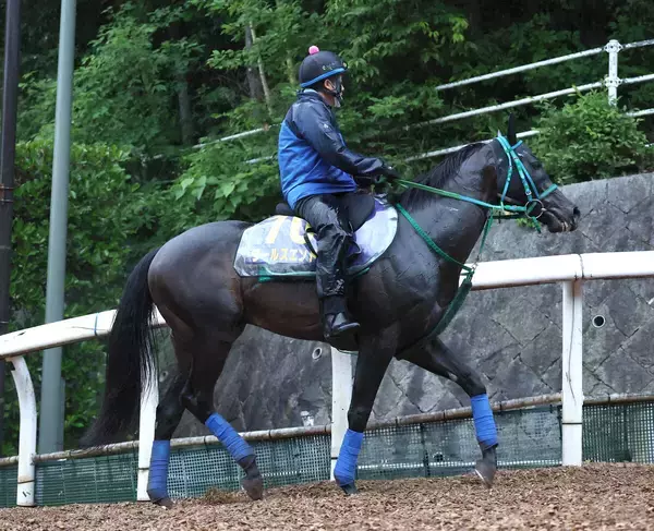 【安田記念】関西馬で１番乗り！ワールズエンドは「道中は落ち着いていたし、飼い葉も食べて」東京競馬場に到着