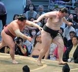 「獅司が初黒星　錦富士に敗れ、７日目で幕内全勝消える」の画像1