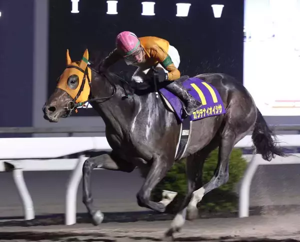 【高知競馬・黒潮菊花賞】カツテナイ３冠馬誕生に期待！　大恵陽子コラム