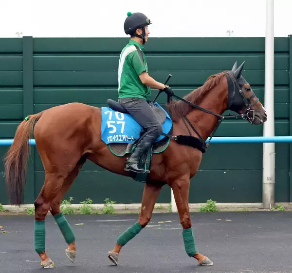 【札幌記念・ヤマタケの特注馬】今年は大混戦！　圧倒的な距離実績が心強いシェイクユアハート