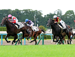 【京都５Ｒ・２歳新馬】クロノジェネシスの２番子ノイエルングは２着　ルメール騎手「距離を延ばしたらいいと思う」