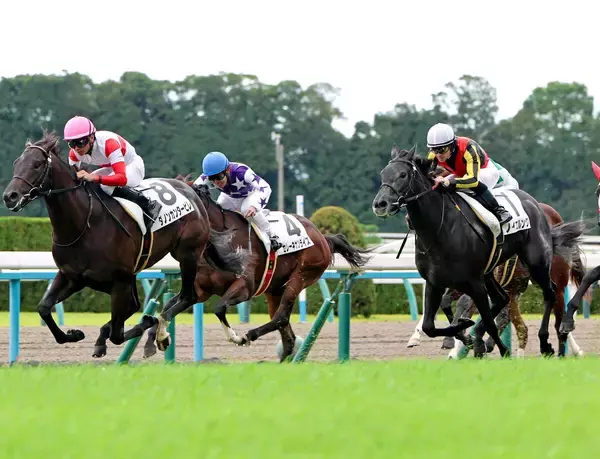 【京都５Ｒ・２歳新馬】クロノジェネシスの２番子ノイエルングは２着　ルメール騎手「距離を延ばしたらいいと思う」