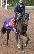 【阪神ＪＦ】母はオークス馬シンハライト　アランカールが同世代最速でＧ１制覇を狙う　斉藤崇調教師「能力はひけを取らない」