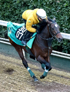 【京成杯】上村調教師の期待値大　キセキ産駒のアクセスが重賞制覇狙う　「ここで勝つようならクラシック」