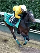 【京成杯】上村調教師の期待値大　キセキ産駒のアクセスが重賞制覇狙う　「ここで勝つようならクラシック」