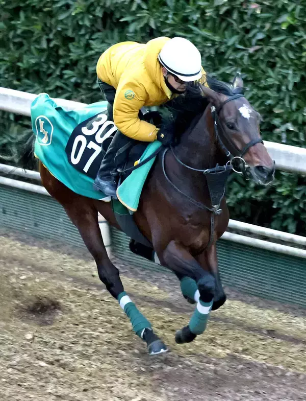 【京成杯】上村調教師の期待値大　キセキ産駒のアクセスが重賞制覇狙う　「ここで勝つようならクラシック」