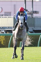 【阪急杯】１４番人気で２着激走も「あれがなければ…」佐々木大輔騎手が悔やんだララマセラシオン