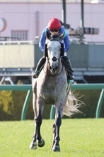 【阪急杯】１４番人気で２着激走も「あれがなければ…」佐々木大輔騎手が悔やんだララマセラシオン