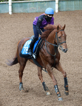 【アンタレスＳ】サイモンザナドゥは爪の影響で木曜追いに変更　小林調教師「終わってからも問題ないです」 　