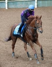 【アンタレスＳ】サイモンザナドゥは爪の影響で木曜追いに変更　小林調教師「終わってからも問題ないです」 　