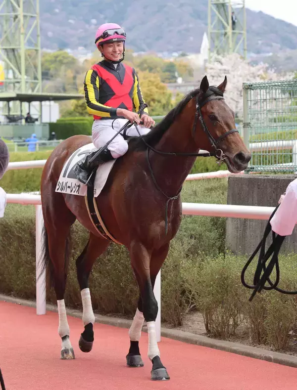 【ユニコーンＳ】シルバーレシオの前走は着差以上の好内容　陣営「走りのバランスが改善されてきた」