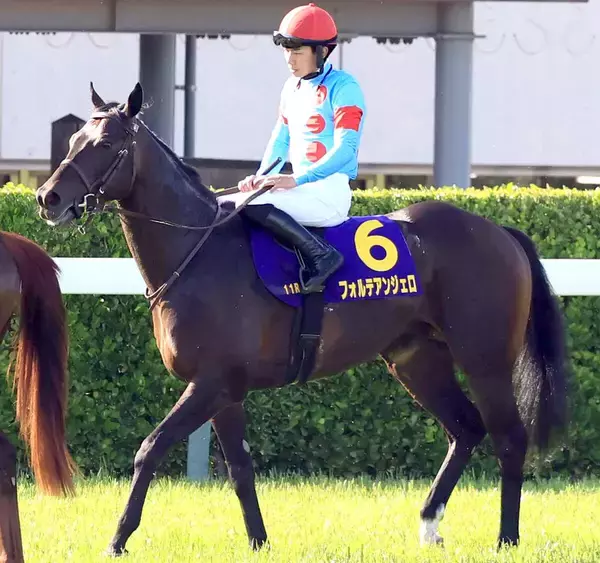 【注目馬動向】皐月賞５着フォルテアンジェロは日本ダービーで引き続き荻野極騎手が手綱
