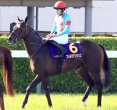 【注目馬動向】皐月賞５着フォルテアンジェロは日本ダービーで引き続き荻野極騎手が手綱