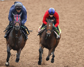 【新潟２歳Ｓ・１週前】シャンデヴァーグは鋭い加速で１馬身先着　津村明秀騎手「落ち着きがあって雰囲気はいい方に来ている」