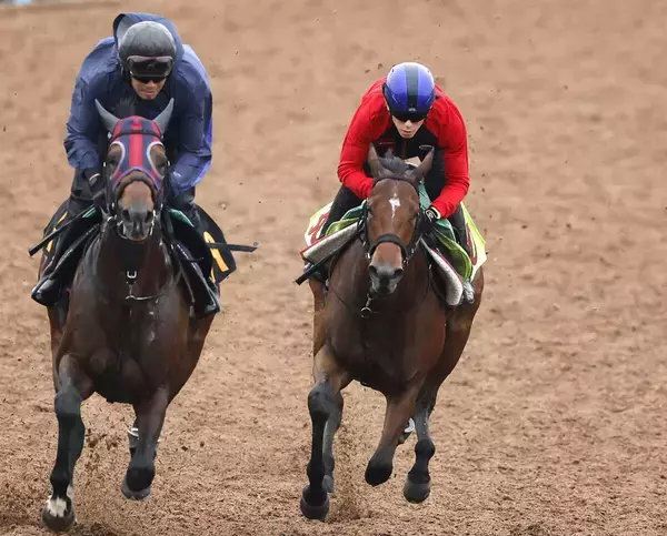 【新潟２歳Ｓ・１週前】シャンデヴァーグは鋭い加速で１馬身先着　津村明秀騎手「落ち着きがあって雰囲気はいい方に来ている」
