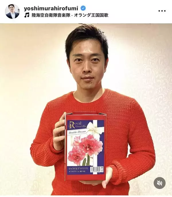 吉村洋文知事、アマリリスの球根を再び受領！赤ニット姿にもファンから大反響「アマリリス王子」「とても素敵」