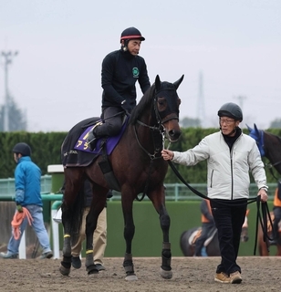 【有馬記念】メンバー最年長のアラタは元気いっぱい　陣営「足かけ６年間、コツコツと走ってきて偉い」