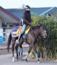 【中山金杯】重賞初制覇へ期待のかかるアンゴラブラックは前走時より上積みあり　尾関調教師「さらに良くなった」
