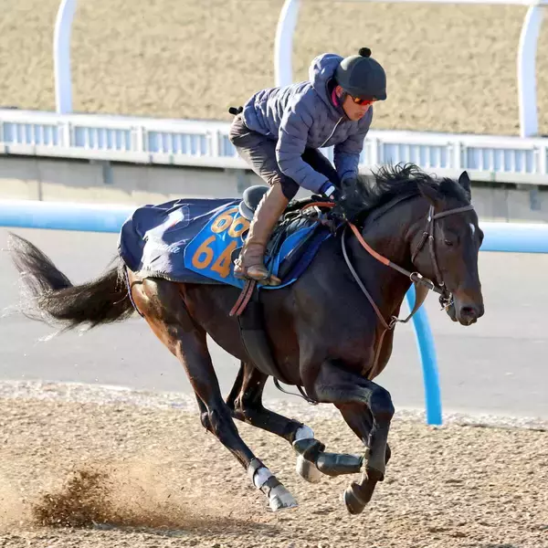 【根岸Ｓ】重賞初出走Ｖへ　ウェイワードアクトは「望んでいた状態にすでにある」　単走馬なりで十分