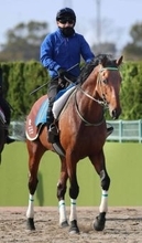 【阪神大賞典】レッドバンデが“下克上Ｖ”へ　大竹調教師「菊花賞よりもう少し最後は脚を使えるようになる」