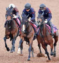 【ラジオＮＩＫＫＥＩ賞】ルージュボヤージュが３頭併せで鋭く伸びる　陣営「精神面の成長が見受けられる」