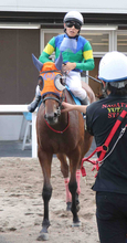 左目が見えないハンデを乗り越えドコフクカゼがデビュー戦で４着健闘　新原周馬騎手「これからも成長したところを見せられれば」