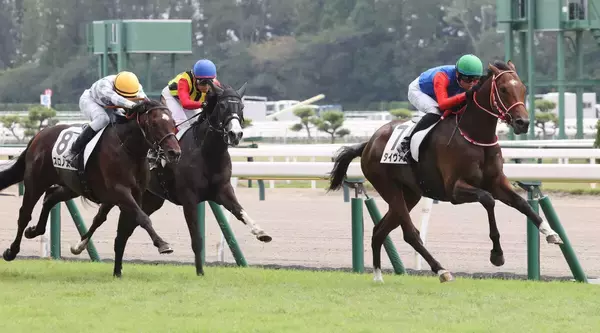 【新潟２Ｒ・２歳新馬】重賞２勝の母を持つタイヴァスが押し切りＶ　坂井瑠星騎手「いろいろ競馬を覚えていってくれれば」