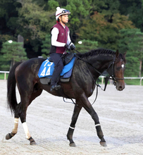 【新潟記念】ダノンシーマは頭＋頭差３着　Ｇ１ホース５頭押さえ１番人気も　川田将雅騎手「すばらしい走りでした」