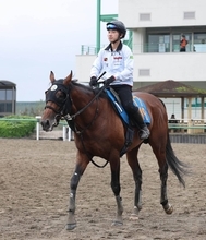 【京都大賞典】ミクニインスパイアがオールカマーより淀を選択したワケ　林師「あれだけの馬場で走って…」