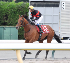 【毎日王冠】ホウオウビスケッツ３年連続２着　岩田康誠騎手の誤算「遠心力で外に…」逃げ込み寸前も写真判定は鼻差
