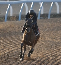 日曜京都競馬場の注目激走馬…京都１１Ｒ秋華賞・Ｇ１