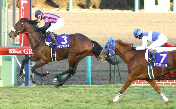 【有馬記念過去の名勝負】日高生まれの“中山の鬼”が全競馬ファンの度肝抜いた…馬主も生産者も現場に不在のサプライズＶ
