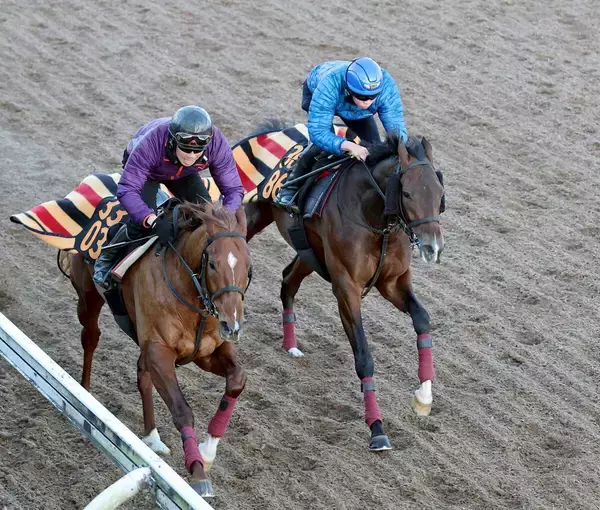 【シンザン記念】アイビーＳ３着から重賞制覇を狙うモノポリオ素軽い動きも森一調教師「物足りなさを感じました」