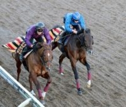 【シンザン記念】アイビーＳ３着から重賞制覇を狙うモノポリオ素軽い動きも森一調教師「物足りなさを感じました」