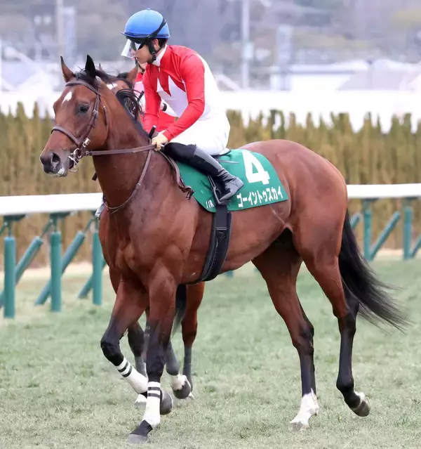 【きさらぎ賞】ゴーイントゥスカイ６着に荻野極騎手「前に残られてしまった」　コントレイル産駒初タイトルは持ち越し